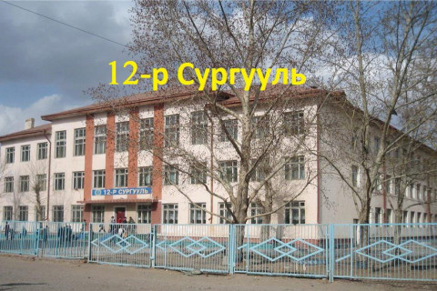 12 сургуулийн гадна эцэг эхчүүд жагсана