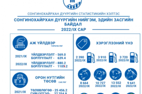 Дүүргийн нийгэм, эдийн засгийн статистик