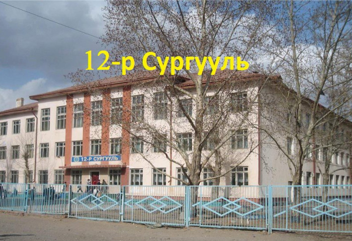 12 сургуулийн гадна эцэг эхчүүд жагсана